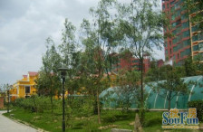 近地铁、带电梯,户型好,无浪费空间。