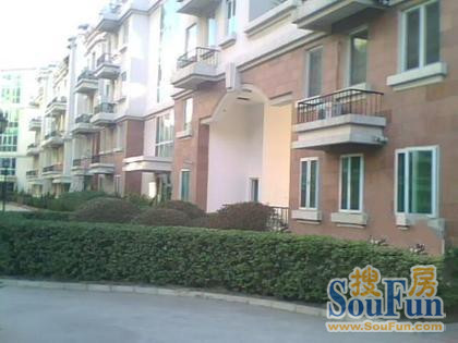  ���⡤��Ȼͤ����Ȼ������5�� 