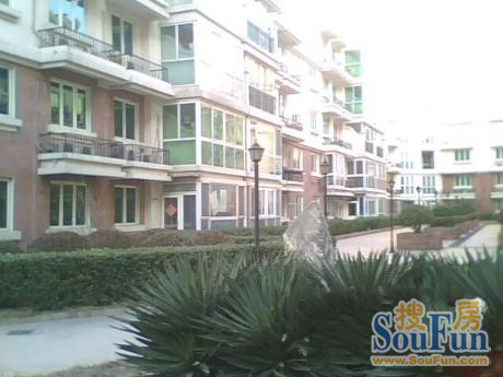  ���⡤��Ȼͤ����Ȼ������5�� 