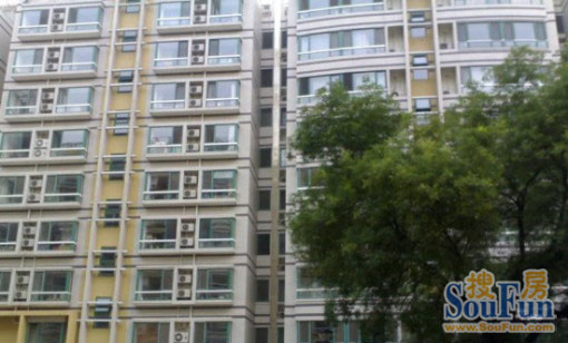  ���⡤�����š�ׯʤһ�ڡ�1�� 