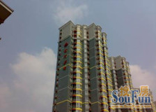 纯商品房小区,环境整洁,近地铁,中间楼层,视野好