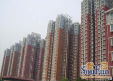 重聚园1室1厅东南