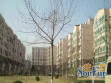 未来科学城北七家北亚花园南北向三居看房方便