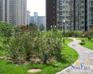 城市出品南北通透三居,户型好,楼龄新,采光无遮挡