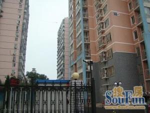 榆树馆西里3室1厅南北