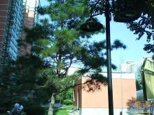 时代芳群 平墅四居室超大面宽 互不打扰 正对小区花园 品质小