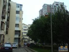 东花市北里中区 3室2厅 南 北