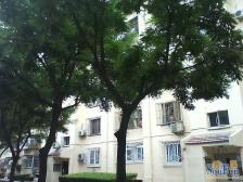 东花市北里中区3室1厅东西南