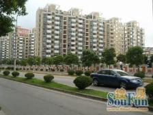 核工业部家属楼,单独管理,24小时保安