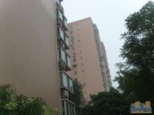 国兴家园南向三居,视野好光线棒,配套好,中层景观好