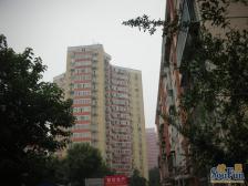 志新村 3室1厅 南 北