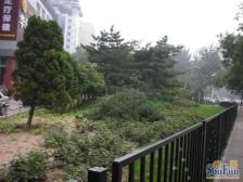 大区主推东直门南大街东南三居室带电梯