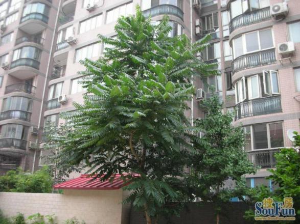 东中公寓实景图