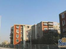 南开区向阳路街芥园中里1室1厅