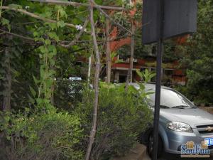 月坛木樨地·白云观南里·1室·1厅