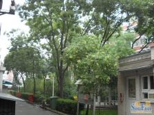 西城德胜新风南里-好小区全屋精装-黄金3层全明格局