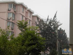 福怡苑2室1厅南北