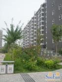 北沙滩小区3室1厅西