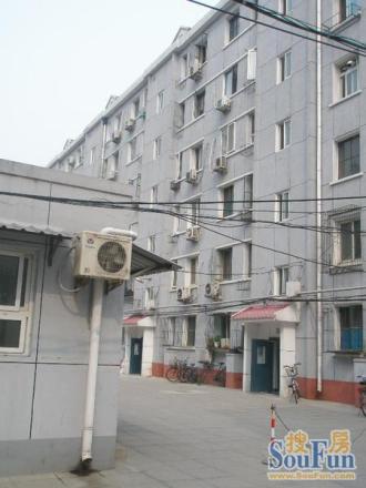 北沙滩6号院实景图