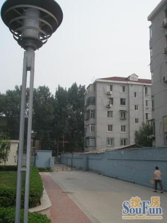北沙滩6号院实景图