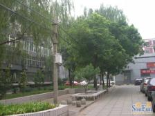 红联北村2室1厅南北