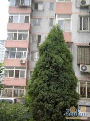 金福家园 东南向两居室 精装修 只有契税 诚售
