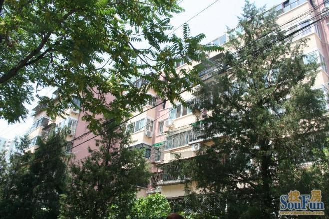 劲松南路小区实景图