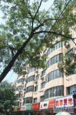 东三环劲松,潘家园电梯楼正规三居,无遮挡,诚心出售随时可看。