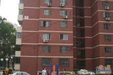 八角南里2室1厅东西