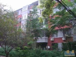 模范小区,志强北园,低层小三居,小区安静有环境
