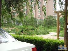 东方财富1室1厅北