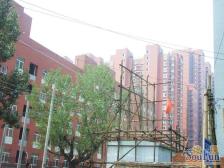 广渠家园11号楼独院,中楼层东向,精装修,两室一厅