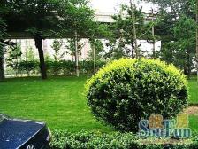 金世纪嘉园商品楼满五唯一方正无遮挡诚意出售