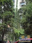 朝阳门外·吉祥里西区·2室·1厅