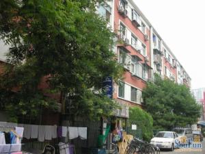 东中街2室1厅南北