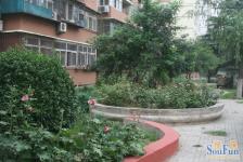 七星园4室2厅南北