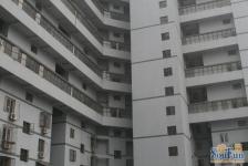 双锦园2室1厅西南