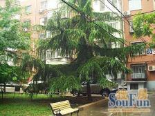 三里河三区1室1厅南北