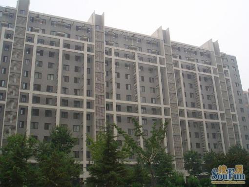  ��Է��԰����԰1��1��1����������4800.00Ԫ/�³��� 