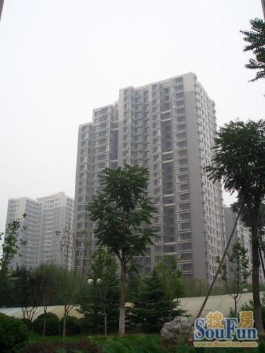  ��Է��԰����԰1��1��1���ϳ���6530.00Ԫ/�³��� 