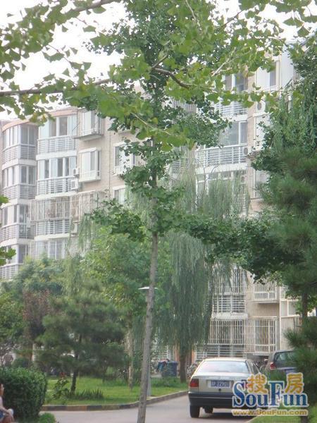小区相关图
