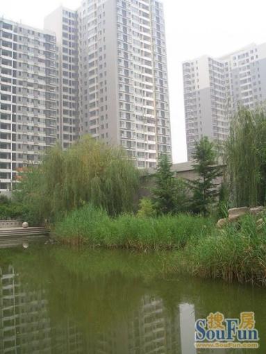  ��Է��԰����԰1��1��1�����ϳ���5600.00Ԫ/�³��� 