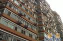 丝竹园实景图