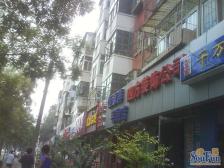 武圣西里2室1厅南北