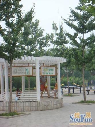 益丰新景实景图