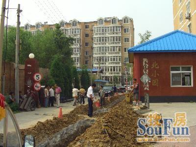 北小园小区实景图