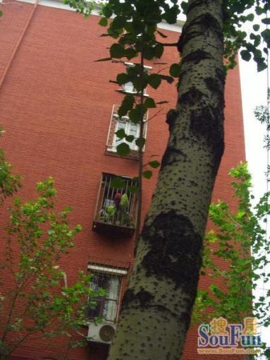  ���⡤�����š������3�� 