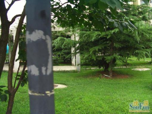  ���⡤�����š�����԰��3�� 