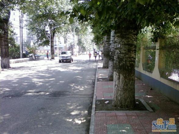 双桥温泉东里实景图