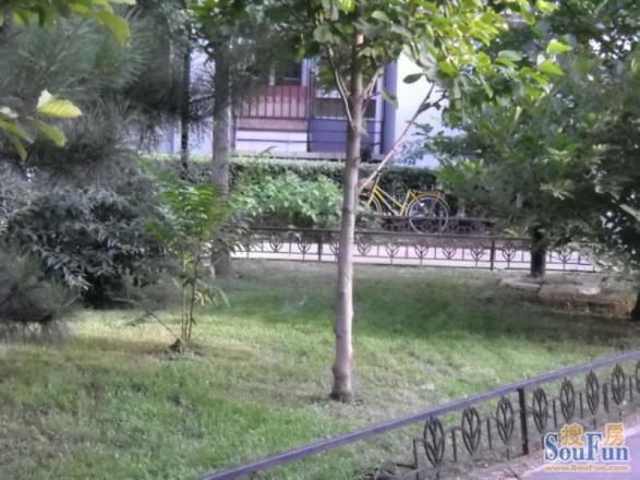 朝内北小街实景图